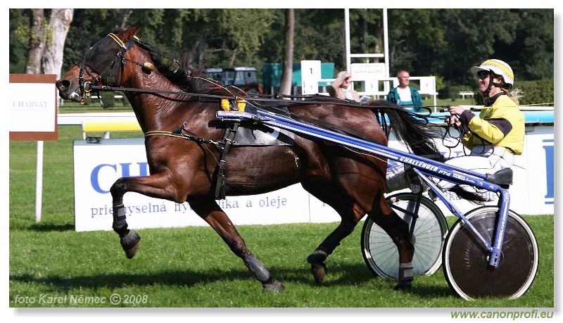 Bratislava - 28. septembra 2008 