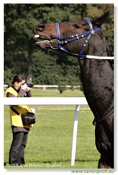 Bratislava - 28. septembra 2008 