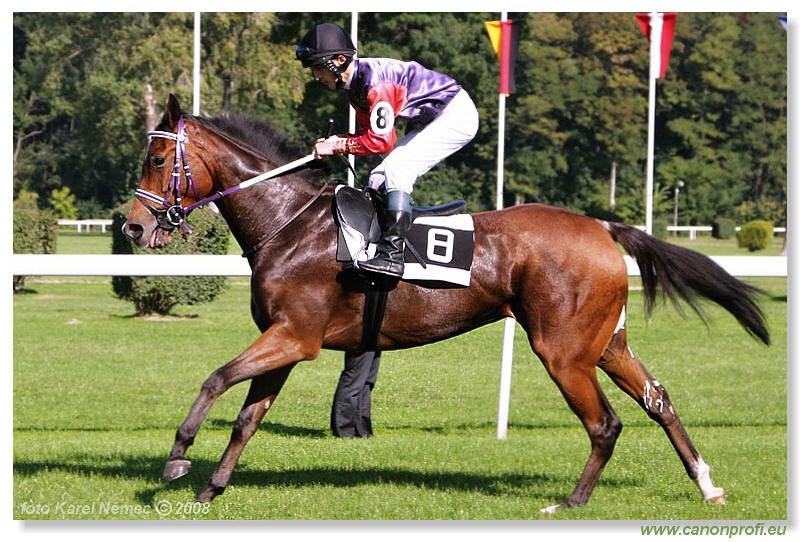 Bratislava - 28. septembra 2008 