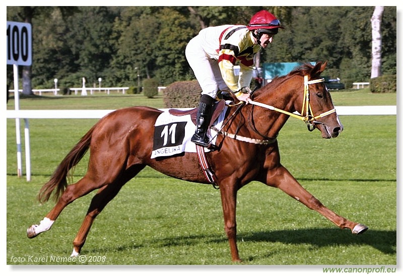 Bratislava - 28. septembra 2008 