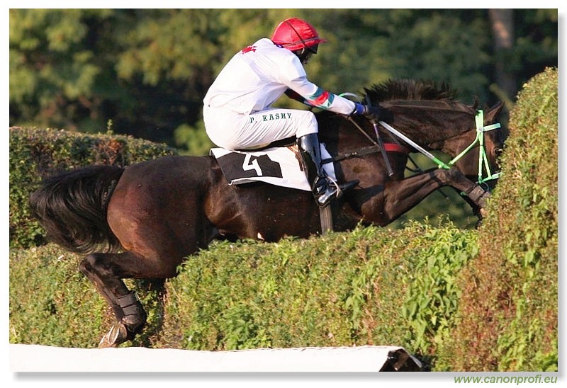Bratislava - 28. septembra 2008 