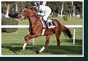 ALL ABOUT SAM - Gary Hind