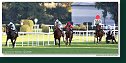 St. Leger