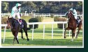 St. Leger