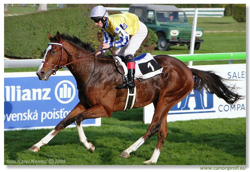 Bratislava - 26. októbra 2008 