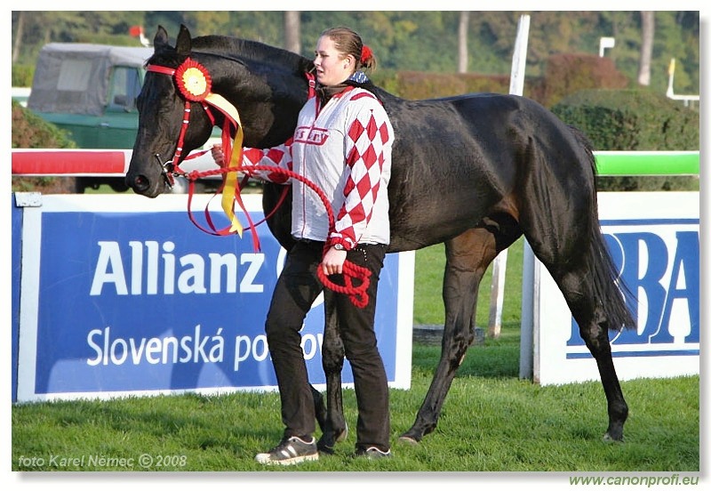 Bratislava - 26. októbra 2008 