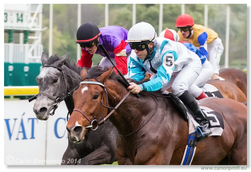 Bratislava - 13. aprl 2014 
