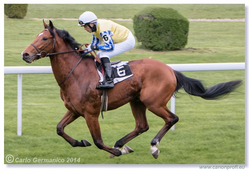 Bratislava - 13. aprl 2014 