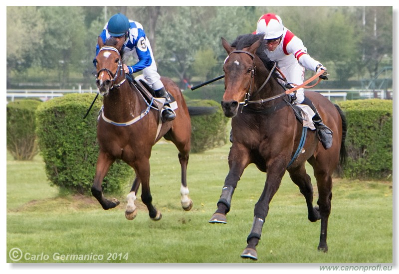 Bratislava - 13. aprl 2014 