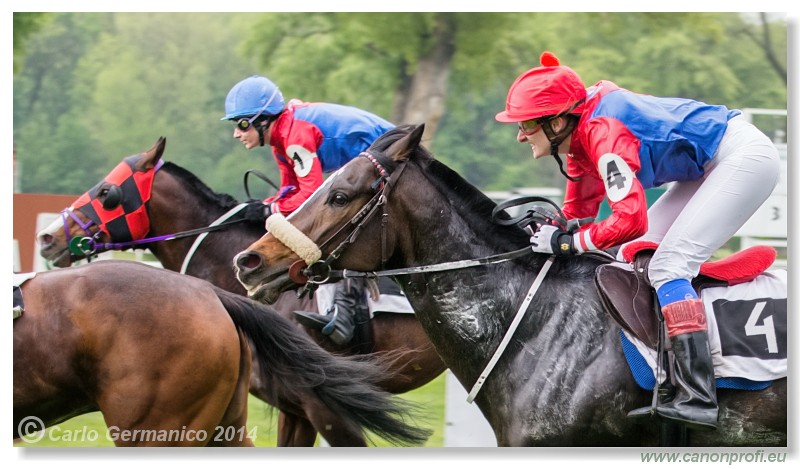 Bratislava - 13. aprl 2014 