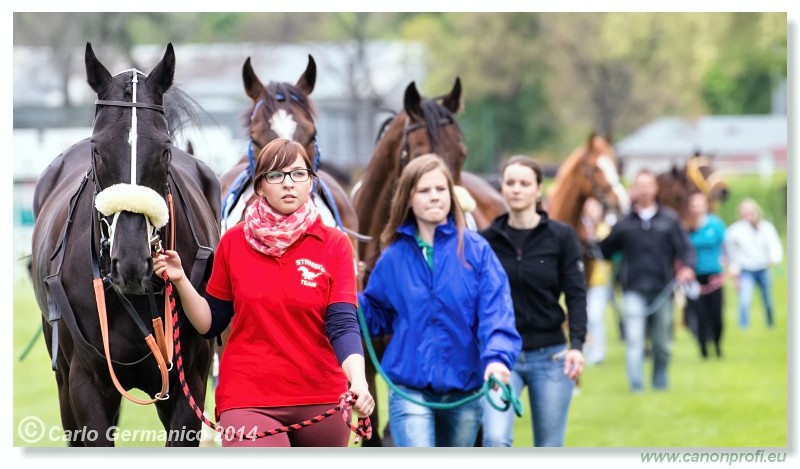 Bratislava - 20. aprl 2014 