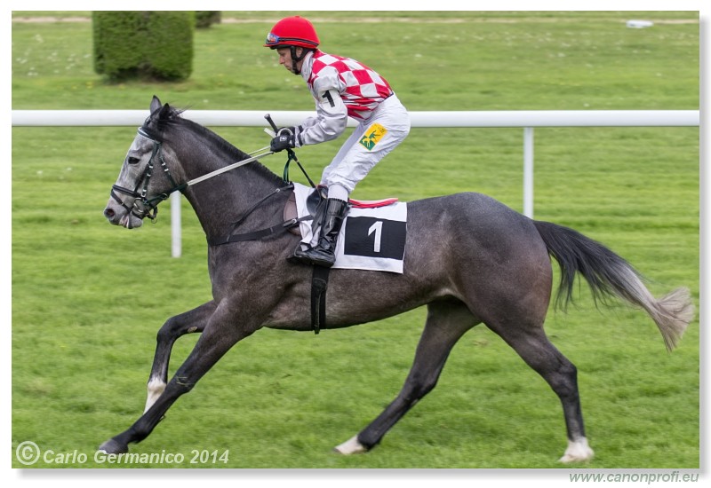 Bratislava - 20. aprl 2014 