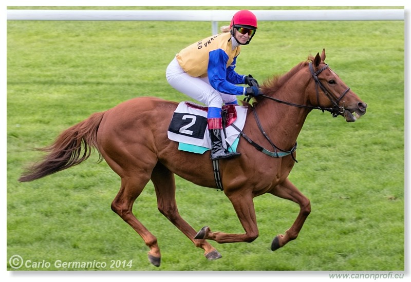Bratislava - 20. aprl 2014 