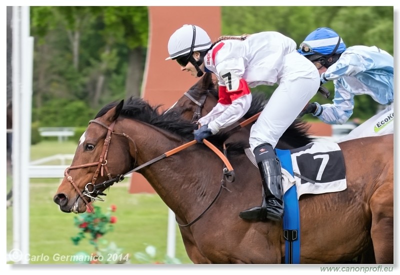 Bratislava - 20. aprl 2014 