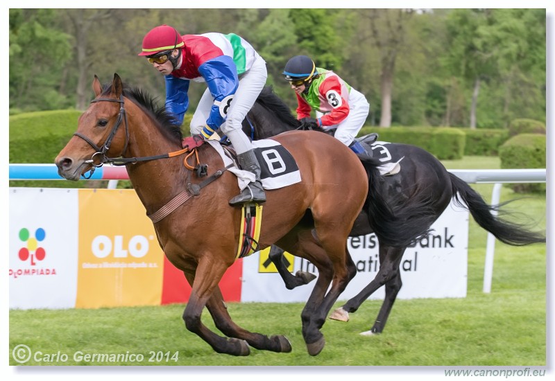 Bratislava - 20. aprl 2014 