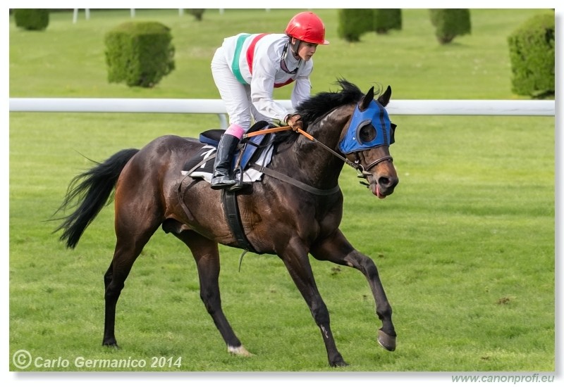 Bratislava - 20. aprl 2014 