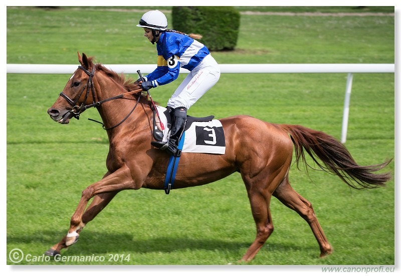 Bratislava - 27. aprl 2014 