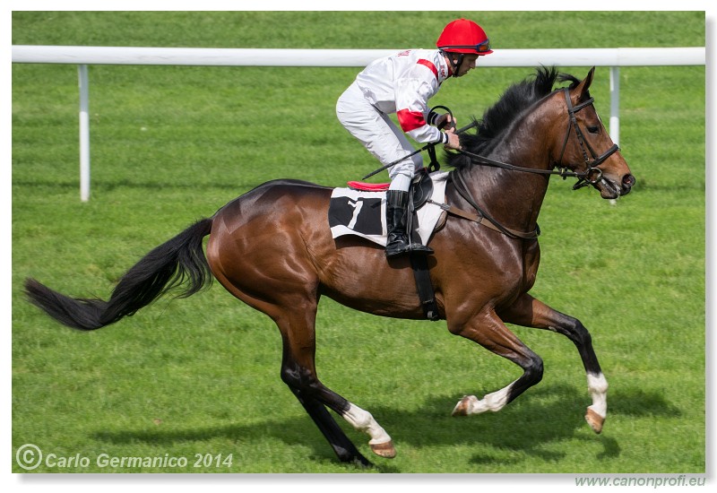 Bratislava - 27. aprl 2014 