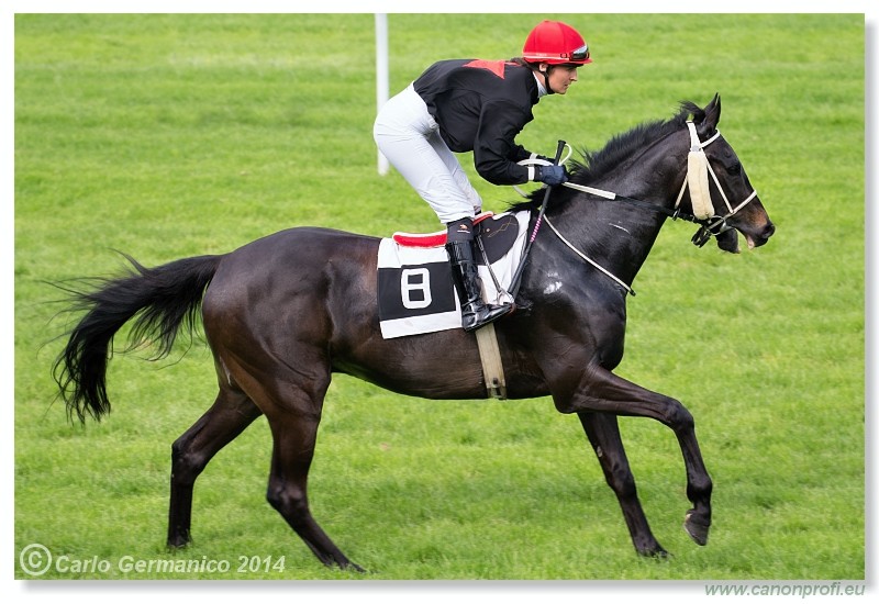Bratislava - 27. aprl 2014 
