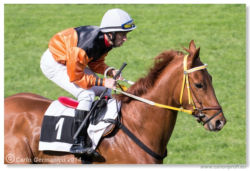 Bratislava - 27. aprl 2014 