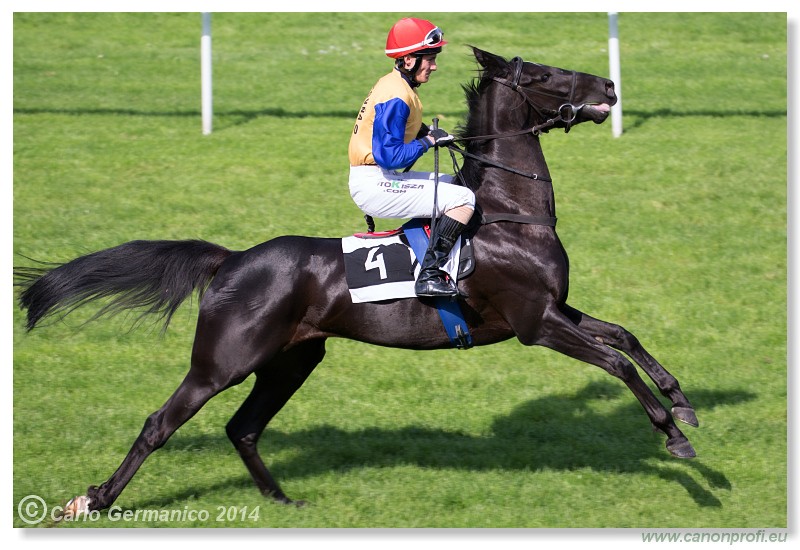 Bratislava - 27. aprl 2014 