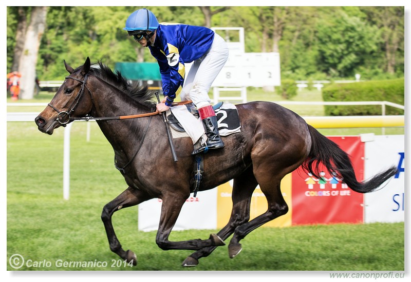 Bratislava - 27. aprl 2014 