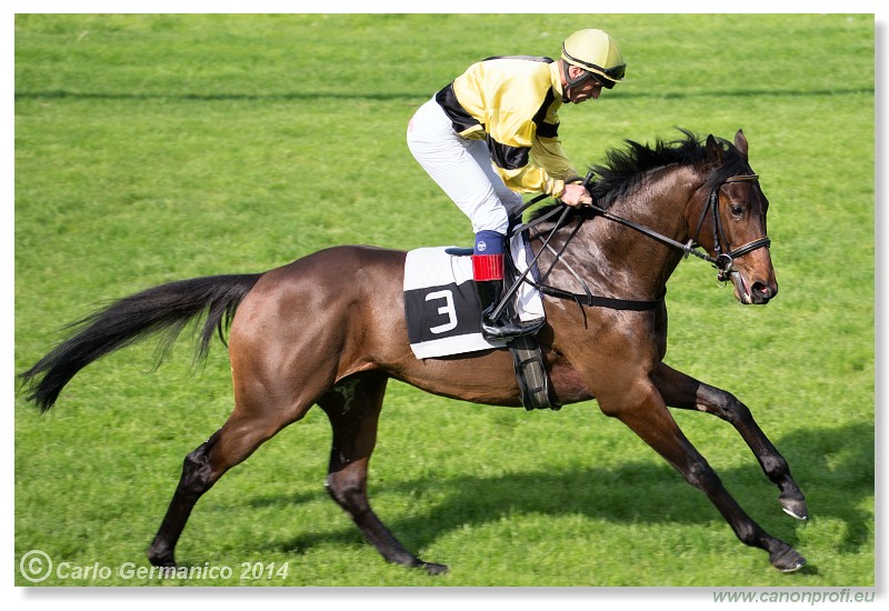 Bratislava - 27. aprl 2014 