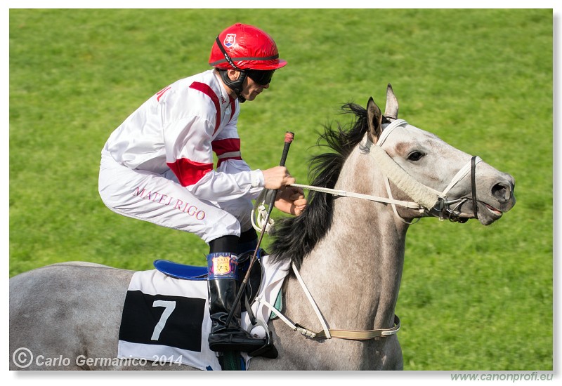 Bratislava - 27. aprl 2014 