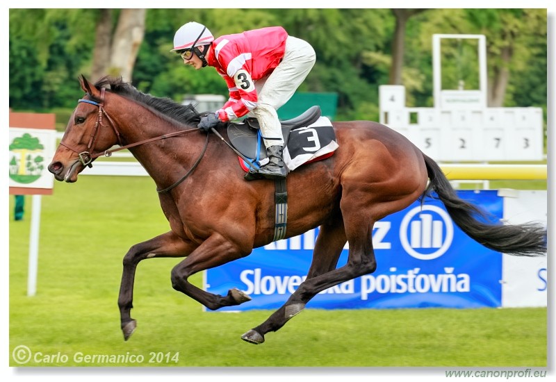 Bratislava - 18. mja 2014 