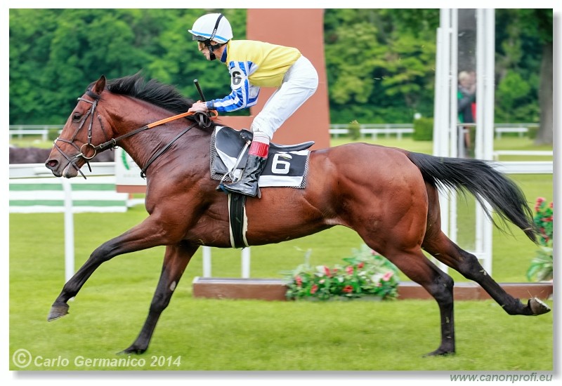 Bratislava - 18. mja 2014 