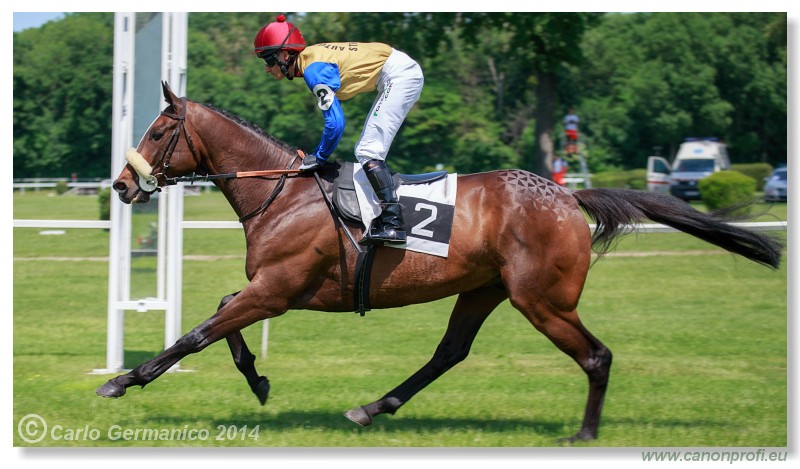 Bratislava - 25. mja 2014 