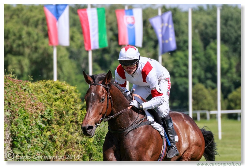 Bratislava - 25. mja 2014 