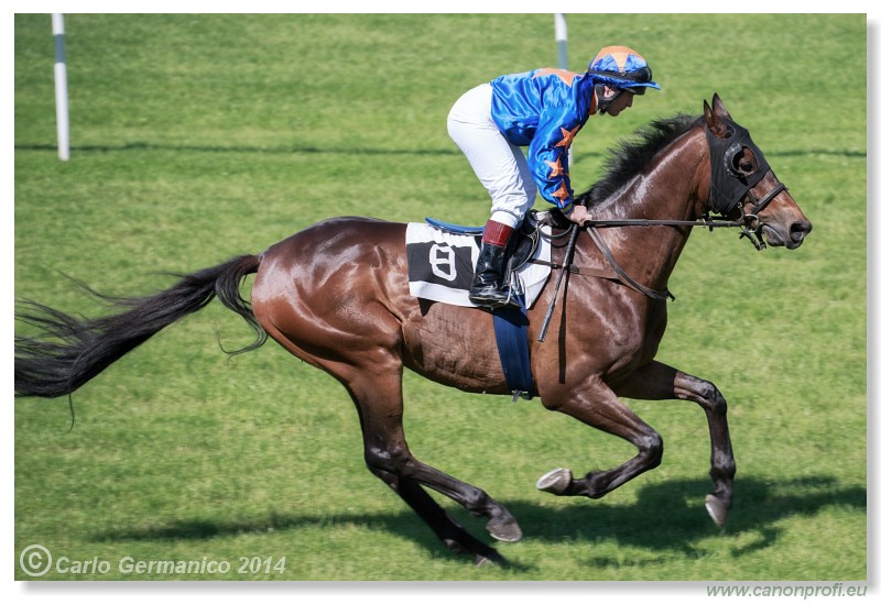 Bratislava - 25. mja 2014 