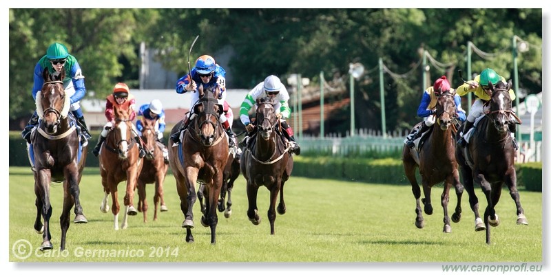 Bratislava - 25. mja 2014 