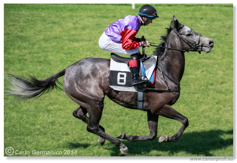 Bratislava - 25. mja 2014 