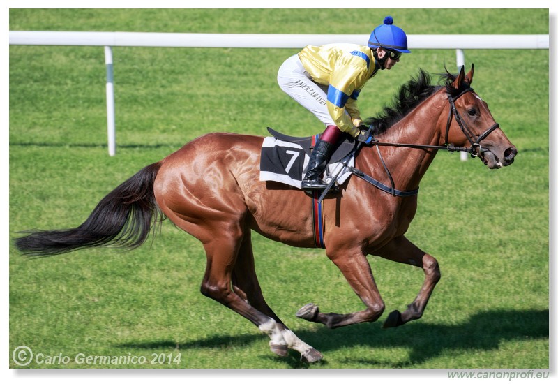 Bratislava - 25. mja 2014 
