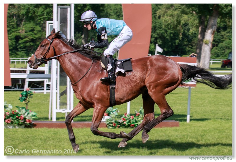 Bratislava - 25. mja 2014 