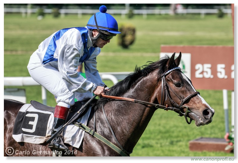 Bratislava - 25. mja 2014 