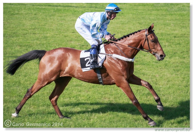 Bratislava - 25. mja 2014 