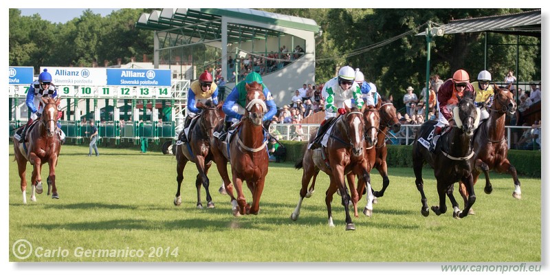Bratislava - 25. mja 2014 