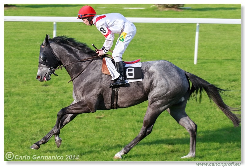 Bratislava - 25. mja 2014 