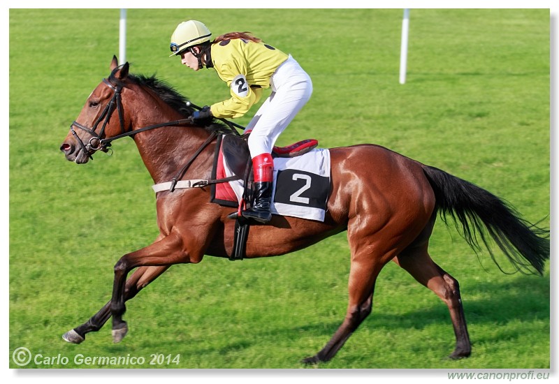Bratislava - 25. mja 2014 