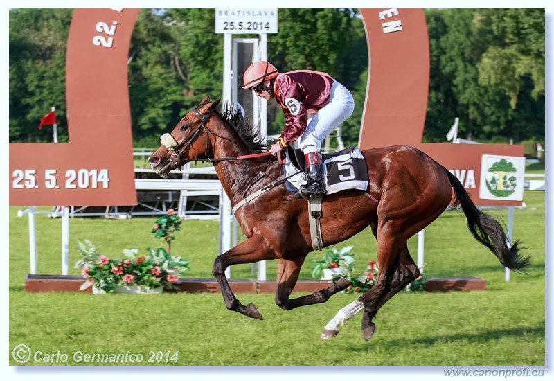 Bratislava - 25. mja 2014 