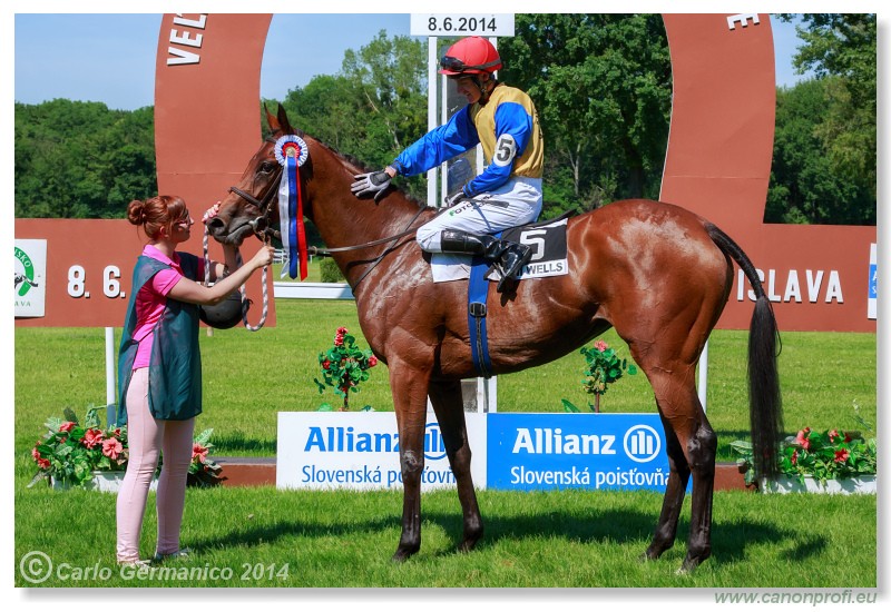 Bratislava - 08. jna 2014 