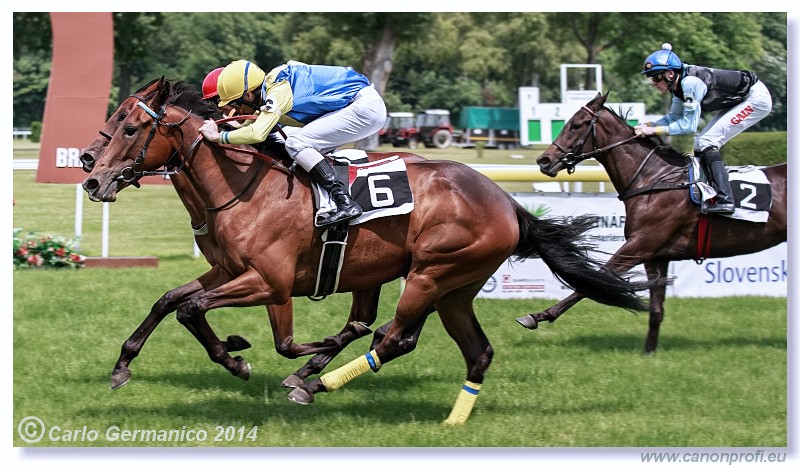 Bratislava - 28. jna 2014 