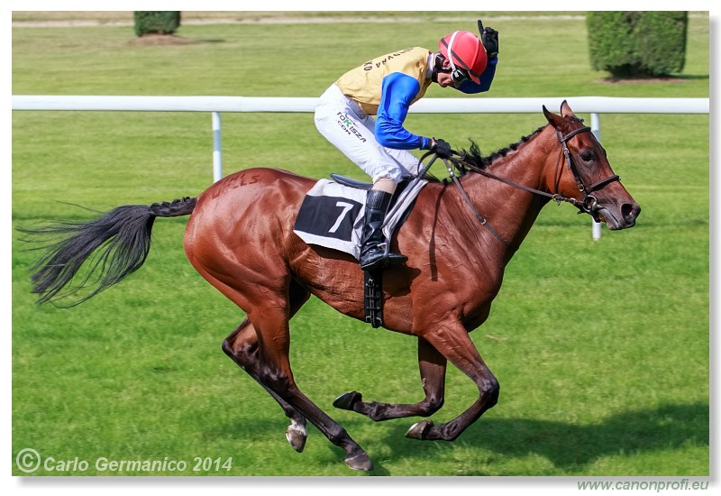 Bratislava - 28. jna 2014 