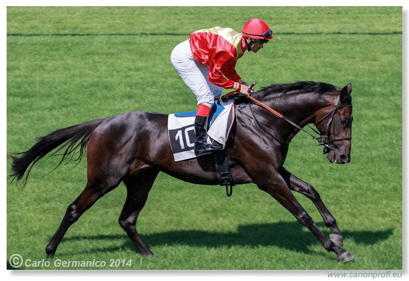 Bratislava - 20. jla 2014 