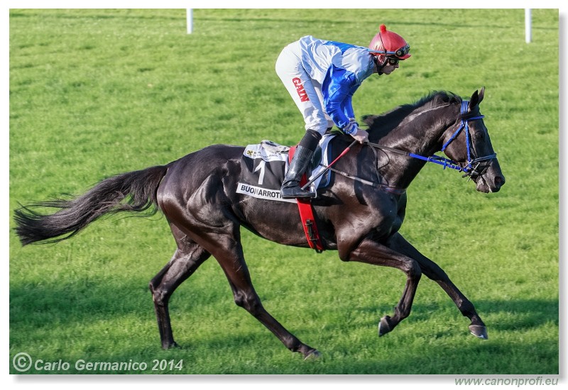 Bratislava - 20. jla 2014 