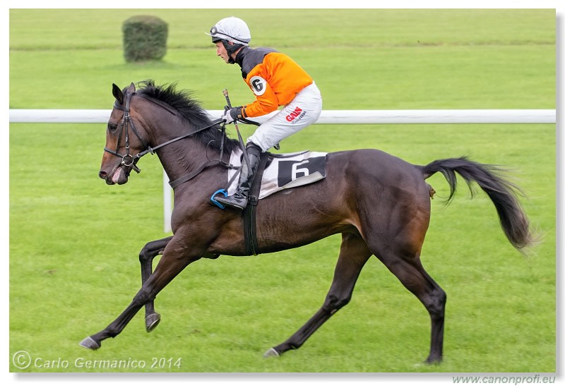 Bratislava - 31. augusta 2014 