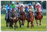 Slovensk Oaks DELUVIS 